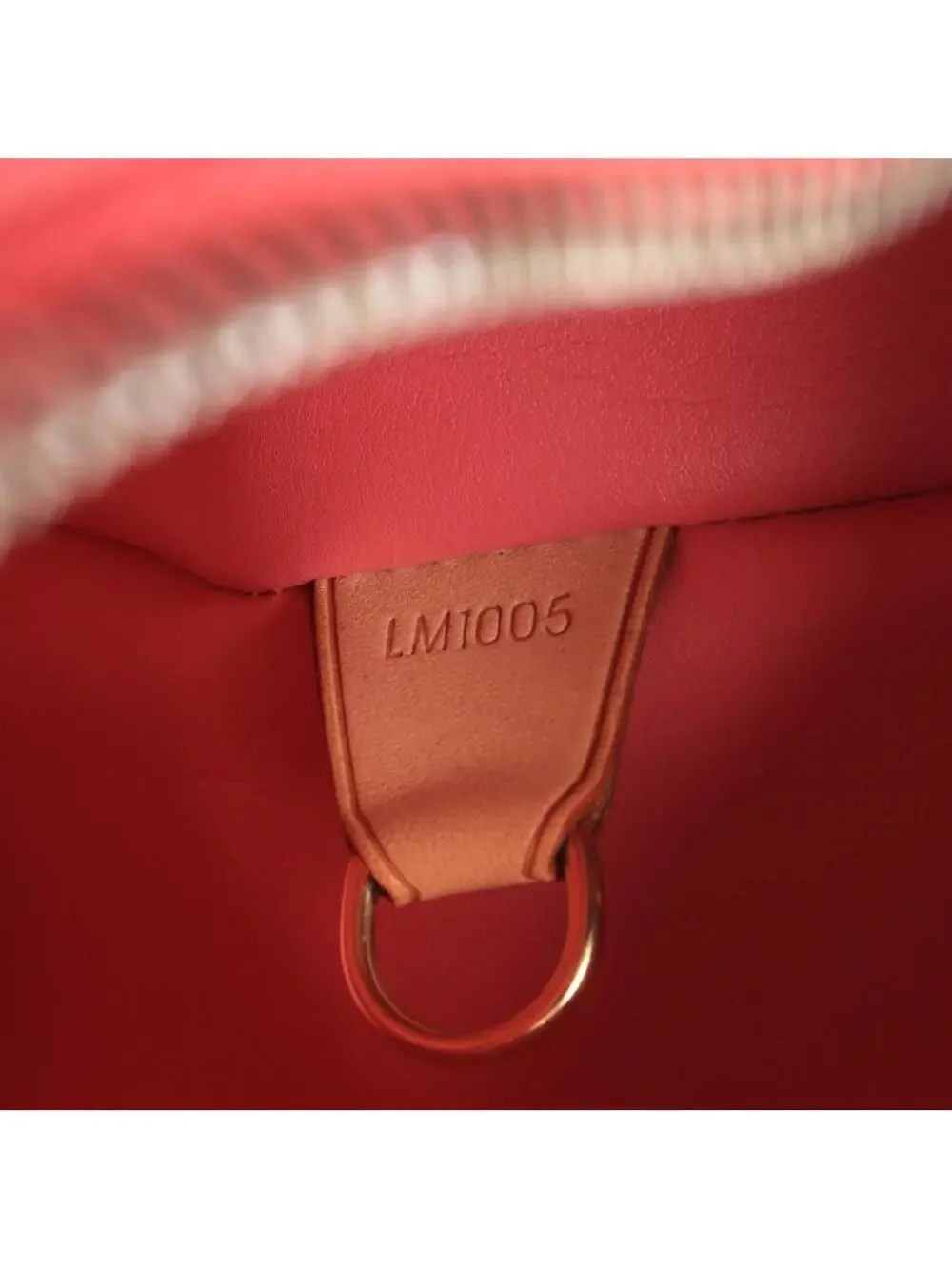 Louis Vuitton Houston Tote Handbag #333541L44B